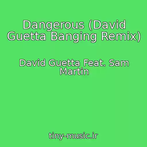 کاور آهنگ Dangerous (David Guetta Banging Remix) از David Guetta Feat. Sam Martin