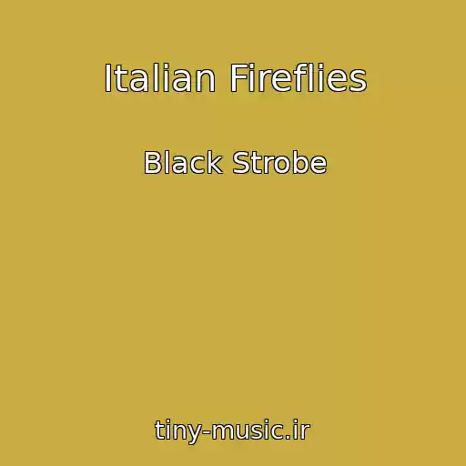 کاور آهنگ Italian Fireflies از Black Strobe