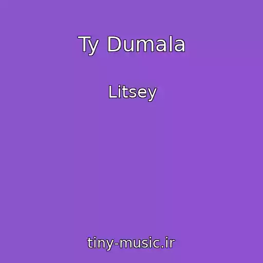کاور آهنگ Ty Dumala از Litsey