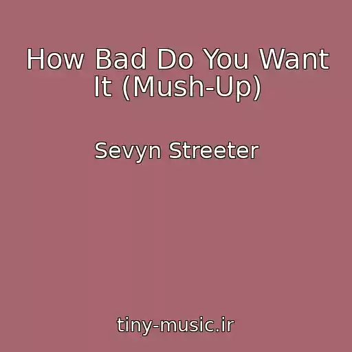 کاور آهنگ How Bad Do You Want It (Mush-Up) از Sevyn Streeter