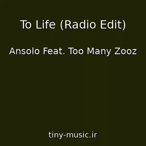 کاور آهنگ To Life (Radio Edit) از Ansolo Feat. Too Many Zooz