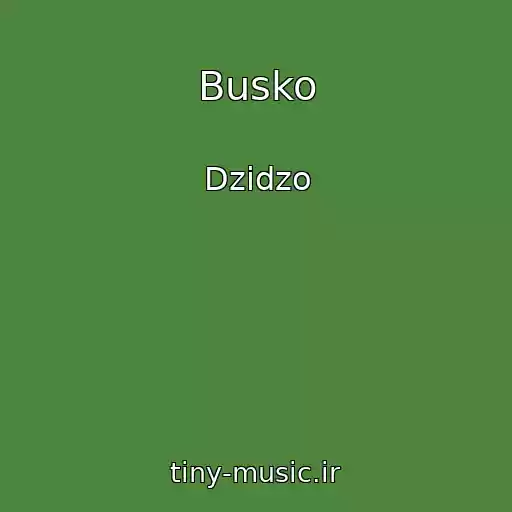 کاور آهنگ Busko از Dzіdzo