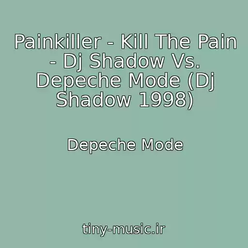 کاور آهنگ Painkiller - Kill The Pain - Dj Shadow Vs. Depeche Mode (Dj Shadow 1998) از Depeche Mode