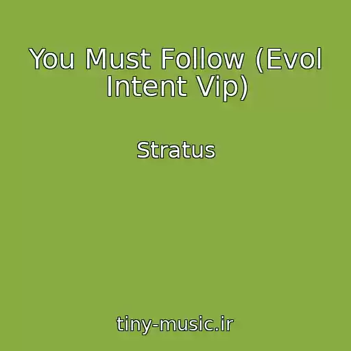 کاور آهنگ You Must Follow (Evol Intent Vip) از Stratus