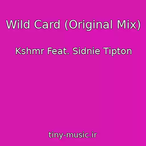 کاور آهنگ Wild Card (Original Mix) از Kshmr Feat. Sidnie Tipton