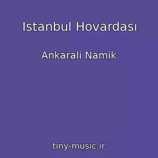 کاور آهنگ Istanbul Hovardası از Ankarali Namik