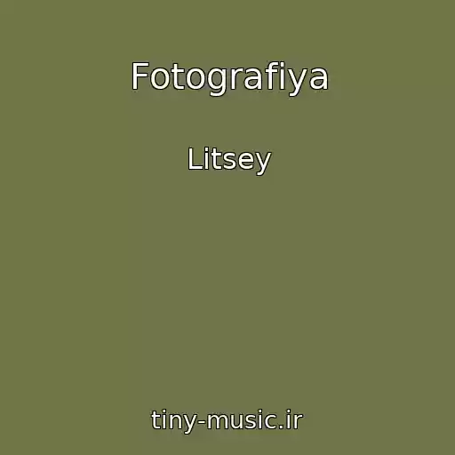 کاور آهنگ Fotografiya از Litsey