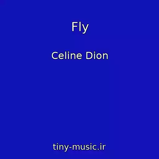 کاور آهنگ Fly از Celine Dion