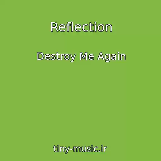 کاور آهنگ Reflection از Destroy Me Again