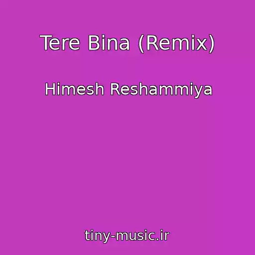 کاور آهنگ Tere Bina (Remix) از Himesh Reshammiya
