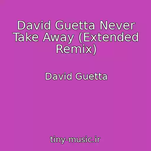کاور آهنگ David Guetta Never Take Away (Extended Remix) از David Guetta