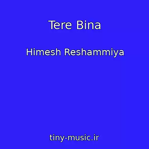 کاور آهنگ Tere Bina از Himesh Reshammiya