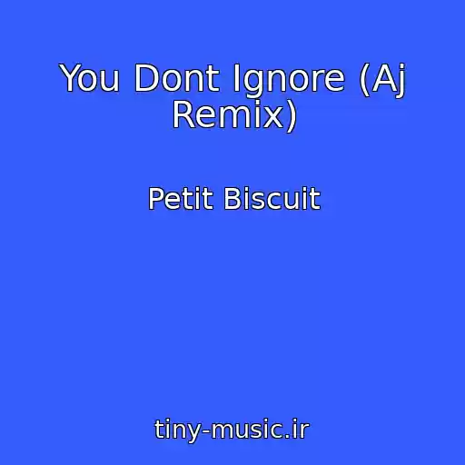 کاور آهنگ You Dont Ignore (Aj Remix) از Petit Biscuit