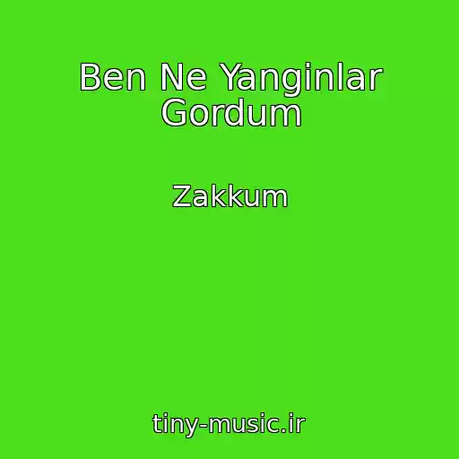 کاور آهنگ Ben Ne Yanginlar Gordum از Zakkum