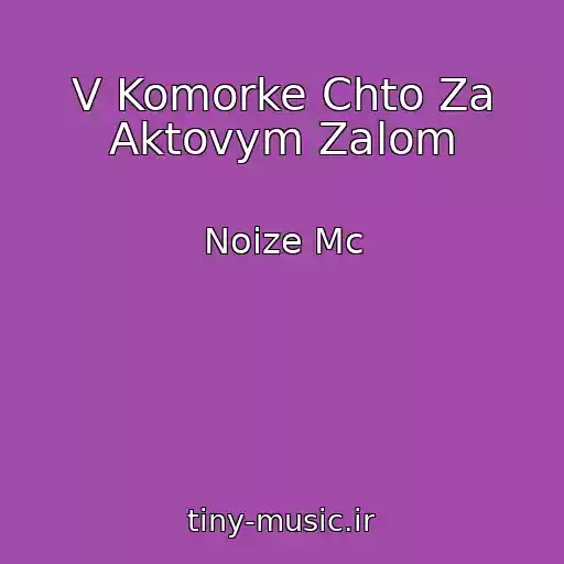کاور آهنگ V Komorke Chto Za Aktovym Zalom از Noize Mc