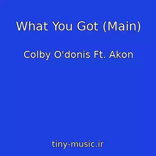 کاور آهنگ What You Got (Main) از Colby O'donis Ft. Akon