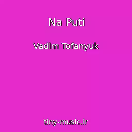 کاور آهنگ Na Puti از Vadim Tofanyuk
