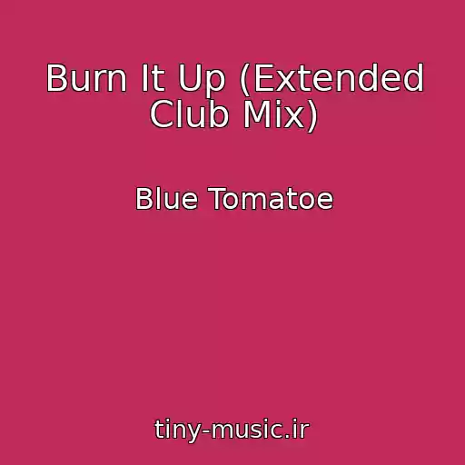کاور آهنگ Burn It Up (Extended Club Mix) از Blue Tomatoe