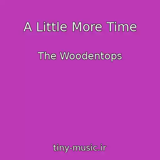 کاور آهنگ A Little More Time از The Woodentops