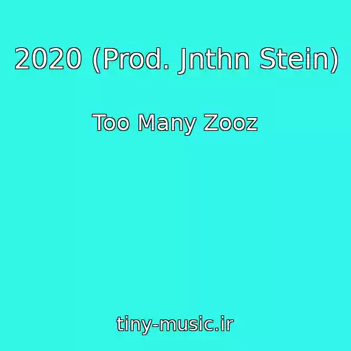 کاور آهنگ 2020 (Prod. Jnthn Stein) از Too Many Zooz