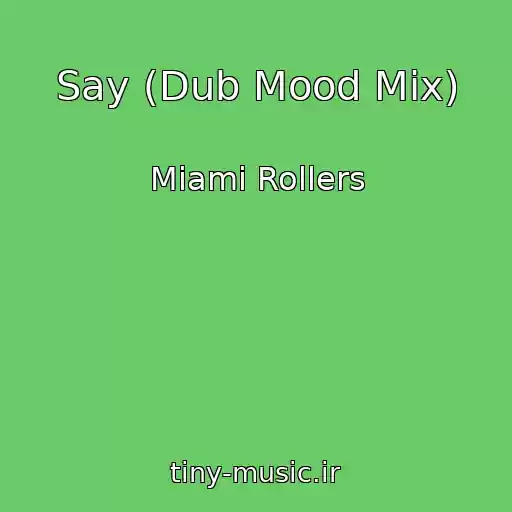 کاور آهنگ Say (Dub Mood Mix) از Miami Rollers