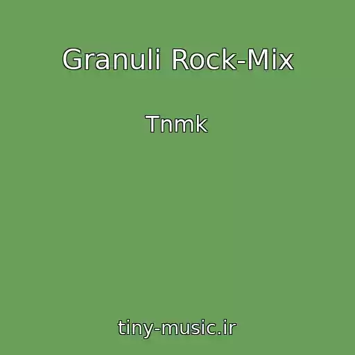 کاور آهنگ Granuli Rock-Mix از Tnmk