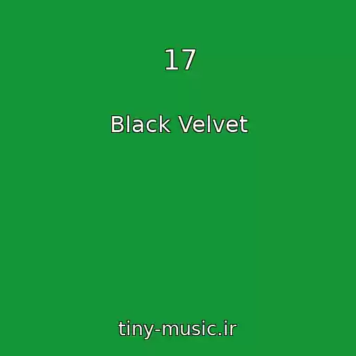 کاور آهنگ 17 از Black Velvet