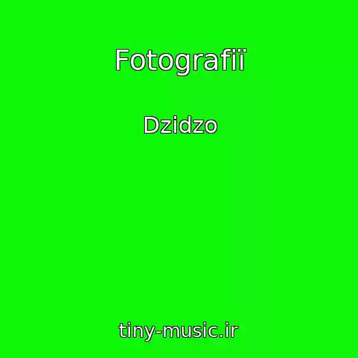 کاور آهنگ Fotografії از Dzіdzo