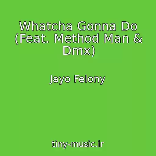 کاور آهنگ Whatcha Gonna Do (Feat. Method Man & Dmx) از Jayo Felony