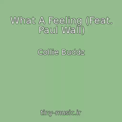 کاور آهنگ What A Feeling (Feat. Paul Wall) از Collie Buddz