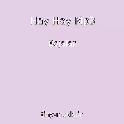 کاور آهنگ Hay Hay Mp3 از Bojalar