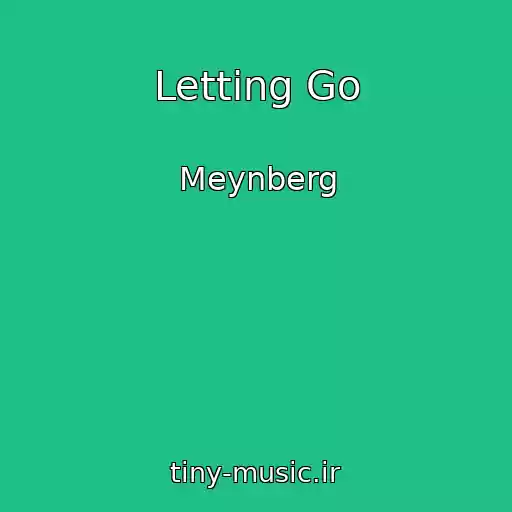 کاور آهنگ Letting Go از Meynberg