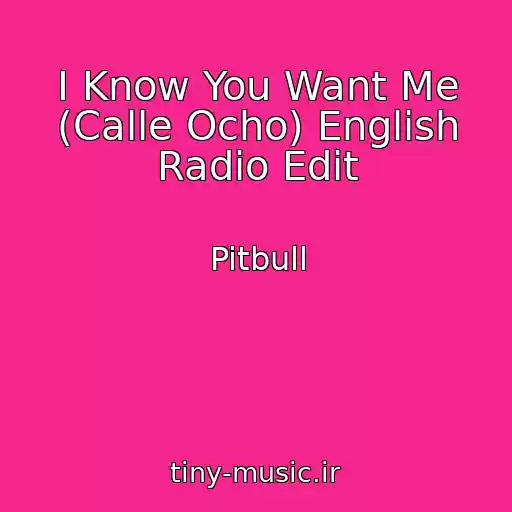 کاور آهنگ I Know You Want Me (Calle Ocho) English Radio Edit از Pitbull