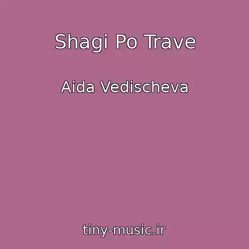 کاور آهنگ Shagi Po Trave از Aida Vedischeva