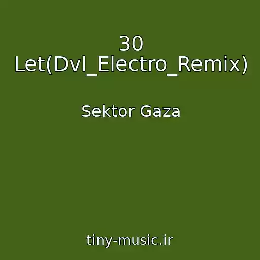 کاور آهنگ 30 Let(Dvl_Electro_Remix) از Sektor Gaza