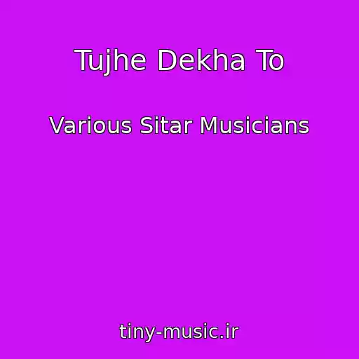 کاور آهنگ Tujhe Dekha To از Various Sitar Musicians