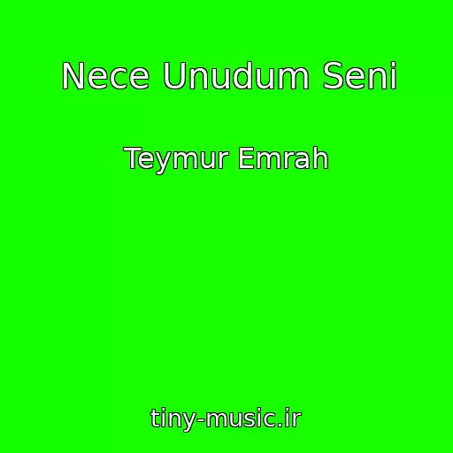 کاور آهنگ Nece Unudum Seni از Teymur Emrah