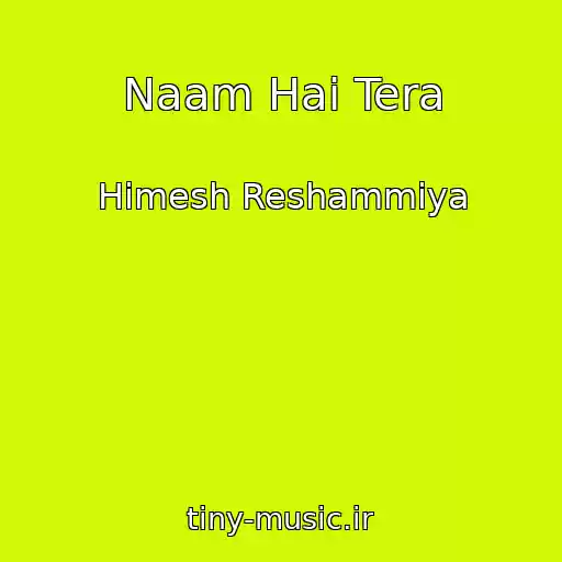 کاور آهنگ Naam Hai Tera از Himesh Reshammiya