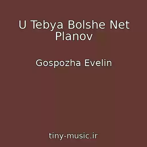 کاور آهنگ U Tebya Bolshe Net Planov از Gospozha Evelin