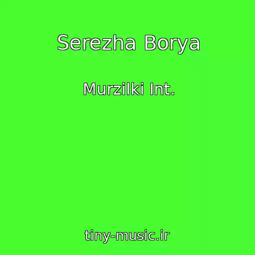 کاور آهنگ Serezha Borya از Murzilki Int.
