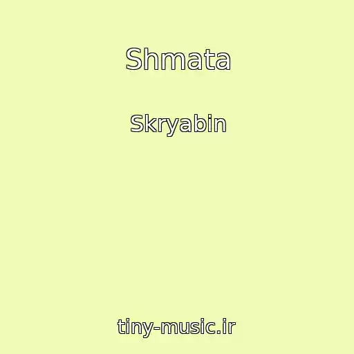 کاور آهنگ Shmata از Skryabin