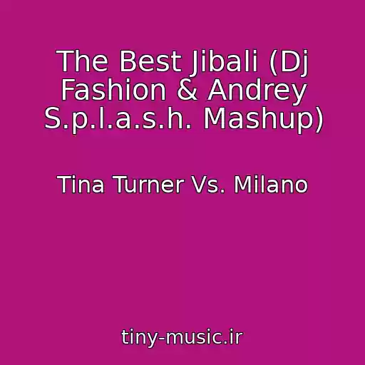 کاور آهنگ The Best Jibali (Dj Fashion & Andrey S.p.l.a.s.h. Mashup) از Tina Turner Vs. Milano