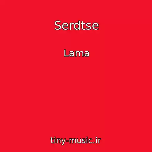 کاور آهنگ Serdtse از Lama