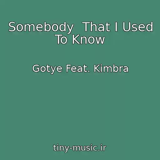 کاور آهنگ Somebody  That I Used To Know از Gotye Feat. Kimbra
