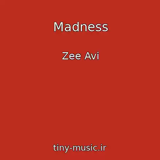 کاور آهنگ Madness از Zee Avi