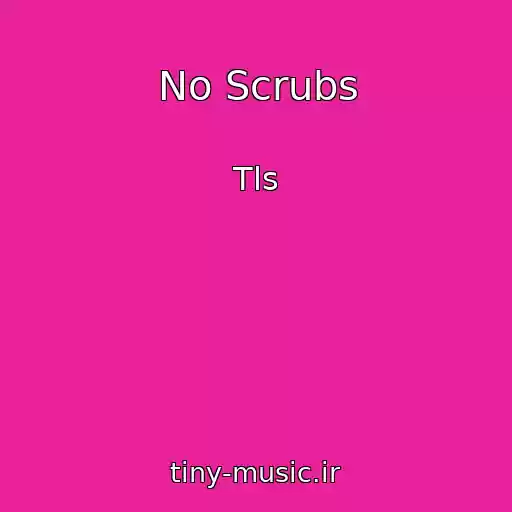 کاور آهنگ No Scrubs از Tls