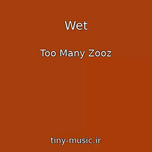 کاور آهنگ Wet از Too Many Zooz