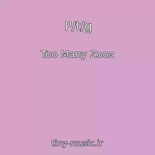 کاور آهنگ P/t/g از Too Many Zooz