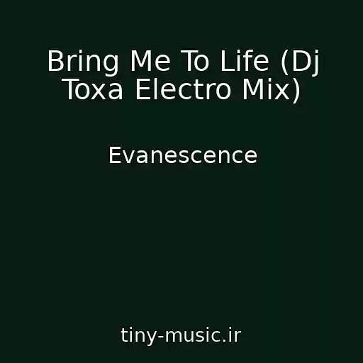 کاور آهنگ Bring Me To Life (Dj Toxa Electro Mix) از Evanescence