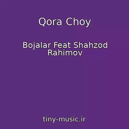 کاور آهنگ Qora Choy از Bojalar Feat Shahzod Rahimov